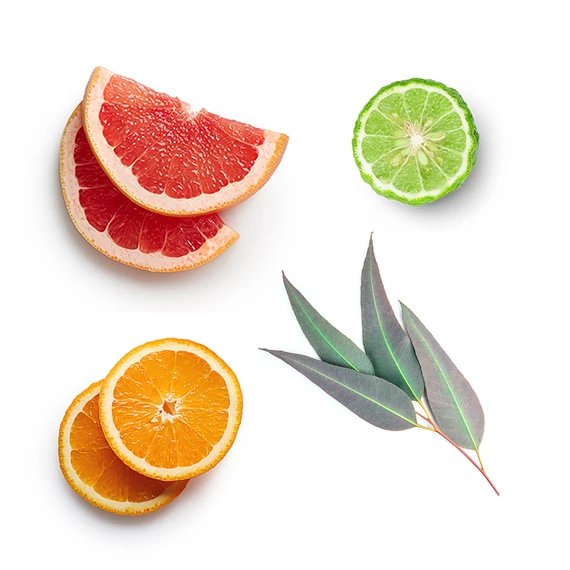 doTERRA Végtelen nyár 15ml